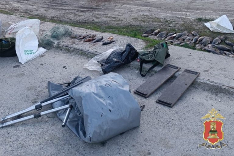 В Тверской области завели дело на рыбаков, ловивших сетями