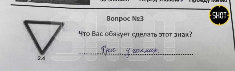 "Три угольник": попытка мигрантов сдать тест при устройстве на работу таксистами вызвала шок