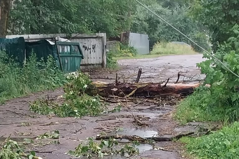 Ураган обрушился на город Тверской области, погрузив его в коммунальный хаос