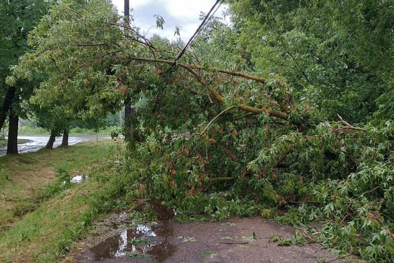 Ураган обрушился на город Тверской области, погрузив его в коммунальный хаос