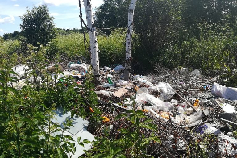 В Тверской области землевладелец завалил отходами участок и пожалел об этом