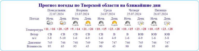 Африканская жара возвращается в Тверскую область