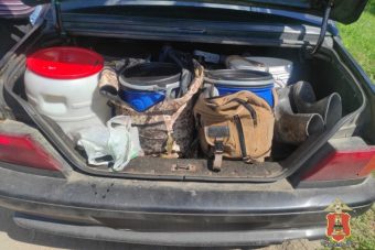 В багажнике автомобилиста в Тверской области нашли лося