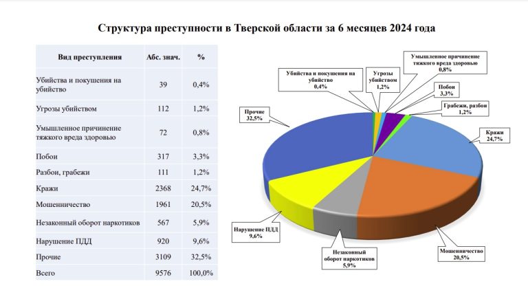 Стало известно, какие виды преступности преобладают в Тверской области