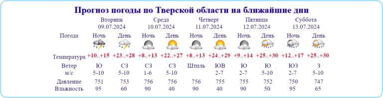 После небольшой передышки в Тверскую область вернется 30-градусная жара