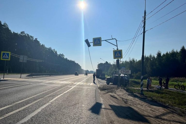 Легковушка сбила пешехода на М-10 в Тверской области