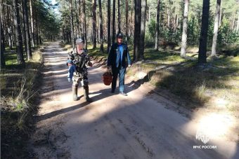 Заблудившемуся в Тверской области грибнику путь к спасению указала сирена Заблудившемуся в Тверской области грибнику путь к спасению указала сирена