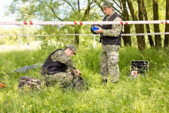 Тело мужчины найдено в лесу в Тверской области