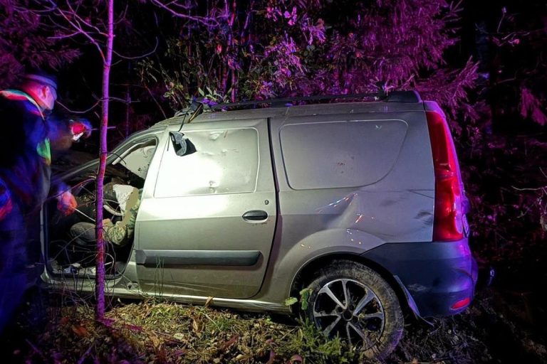 Два человека погибли в ДТП с лосями в Тверской области