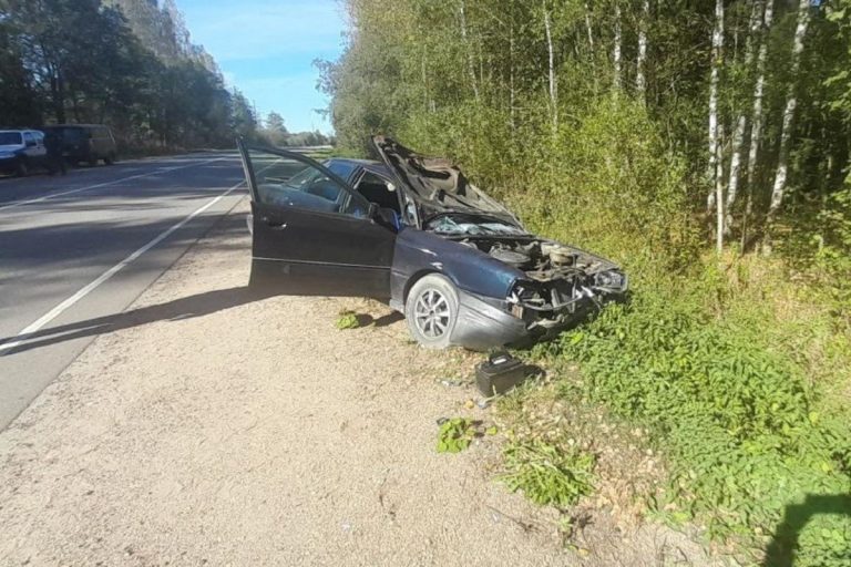 Два человека погибли в ДТП с лосями в Тверской области