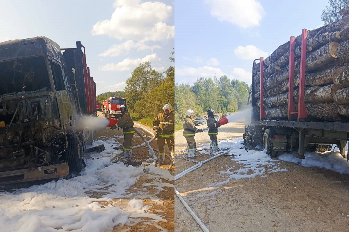 Пожарные в Тверской области спасли бревна, но не лесовоз