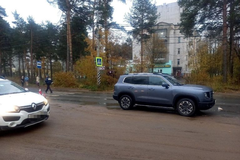 Пожилую женщину сбили на Сахаровском шоссе в Твери