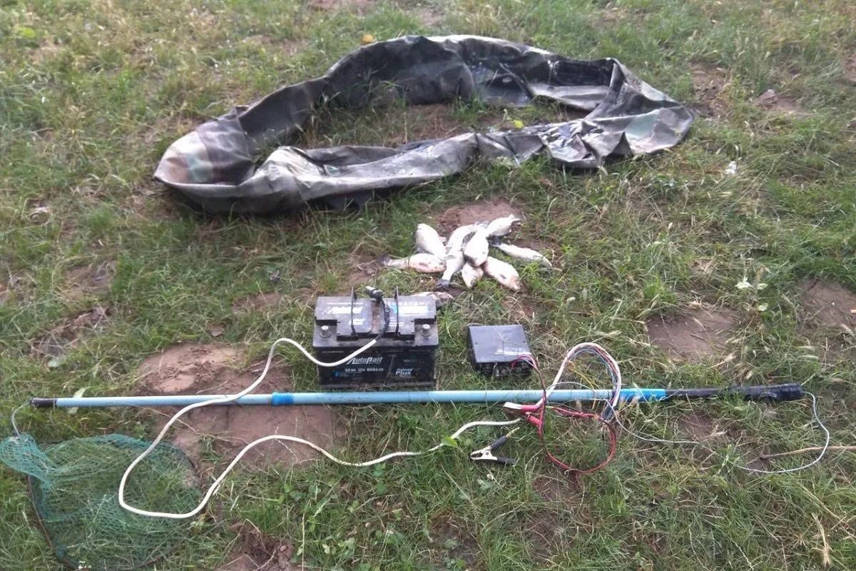 В Твери запретили информацию об устройстве электроудочек