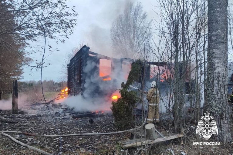 Тело мужчины обнаружено на месте пожара в Тверской области