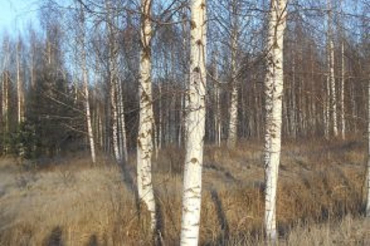 Крупного землевладельца оштрафовали в Тверской области