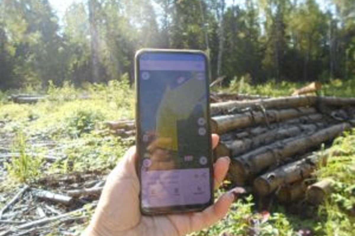 Владельца заросших и загрязненных сельхозугодий оштрафовали в Тверской области