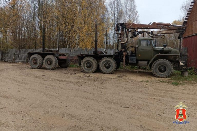 Житель Тверской области организовал незаконную рубку деревьев