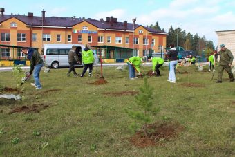 В Тверской области высажено более 377 тысяч деревьев в рамках акции акции «Сохраним лес»