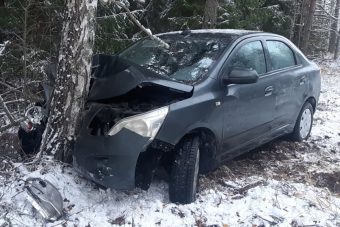 В Тверской области женщина не смогла удержать автомобиль на дороге, вылетела в кювет и врезалась в дерево