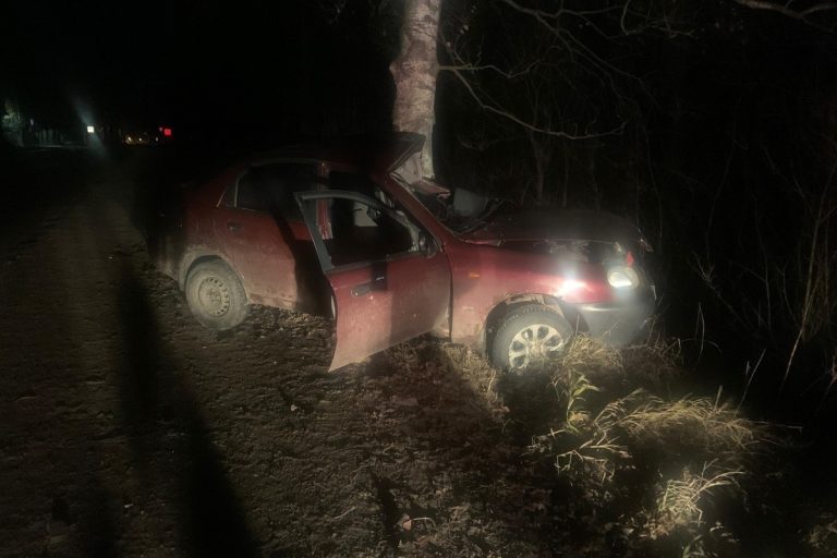 Погиб водитель автомобиля, врезавшегося в дерево в Тверской области