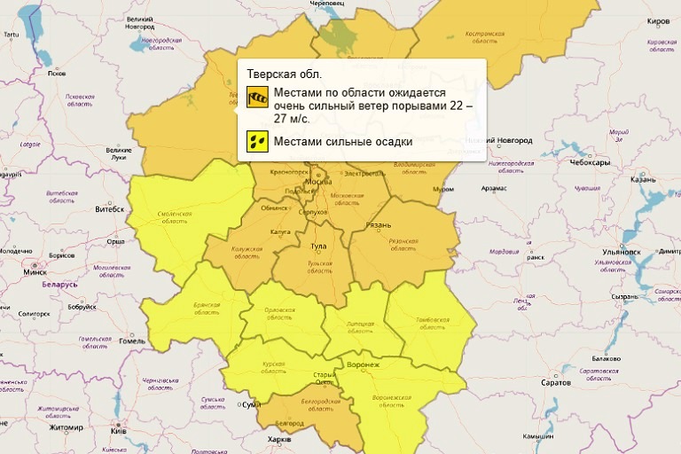 В Тверской области объявлен оранжевый уровень погодной опасности - ветер может валить с ног