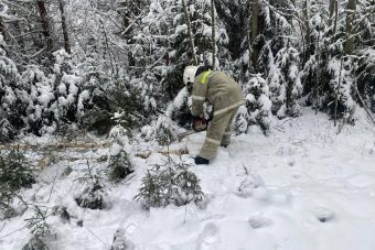 За сутки в Тверской области восстановлено электроснабжение у более чем 10 тысяч потребителей