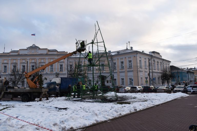 Стало известно, где и сколько новогодних елей установят в Твери