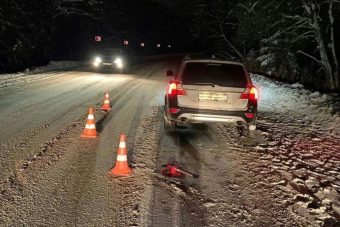 В Тверской области водитель Volvo сбил двух пешеходов