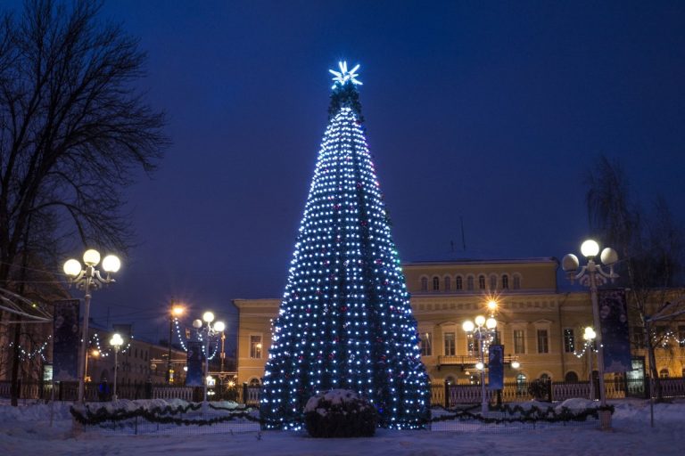 Стало известно, где и сколько новогодних елей установят в Твери