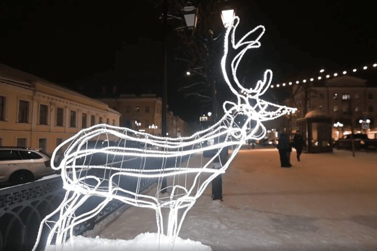 Стало известно, где и сколько новогодних елей установят в Твери