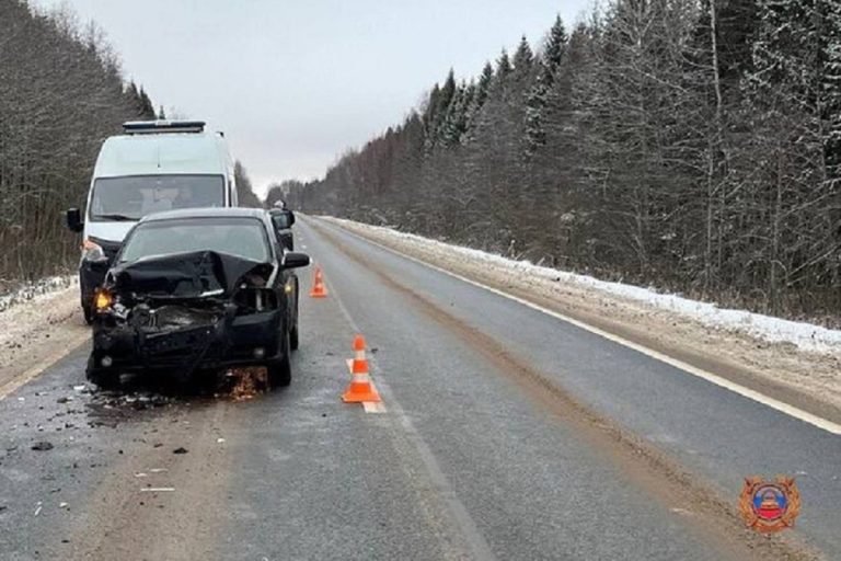 Несовершеннолетняя пассажирка пострадала в ДТП в Тверской области