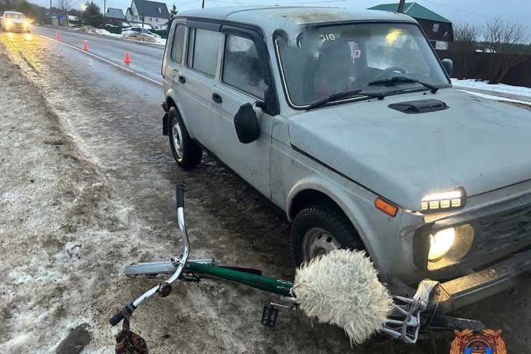 Пожилого велосипедиста сбили в Тверской области