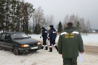 В Тверской области гражданам запрещено рубить ёлки для Нового года