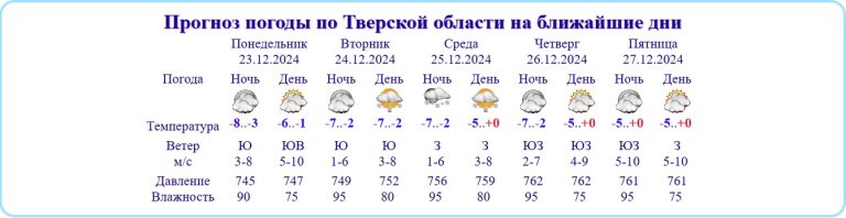 Стало известно, какая погода завершит в Тверской области уходящий год