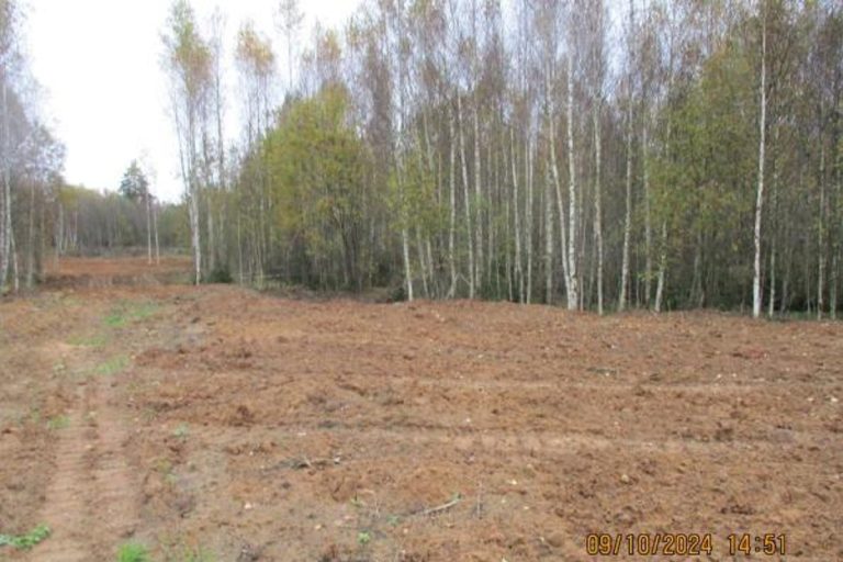 Крупную несанкционированную свалку выявили под Тверью