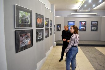 Жителей Твери приглашают посетить выставки живописи и фотографии