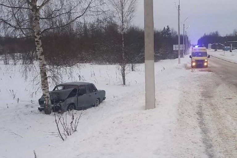 Легковушка съехала в кювет и врезалась в дерево в Тверской области