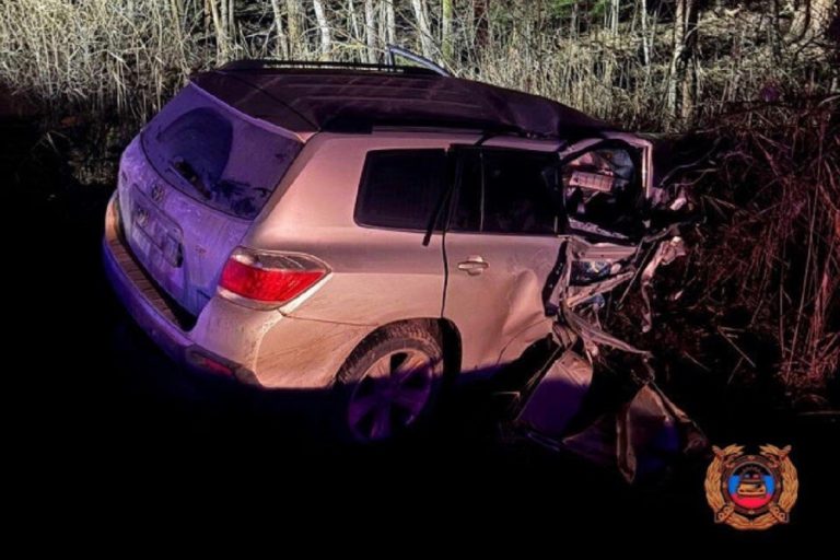 Один погиб и трое пострадали в лобовом ДТП в Тверской области