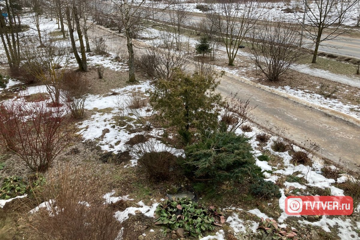 Авторитетный метеоролог сообщил, какому месяцу на самом деле соответствует погода начала января