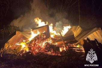 При пожаре в Тверской области погибла хозяйка сгоревшего дома