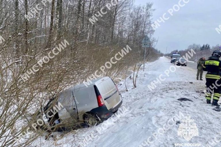 Две легковушки столкнулись лоб в лоб в Тверской области