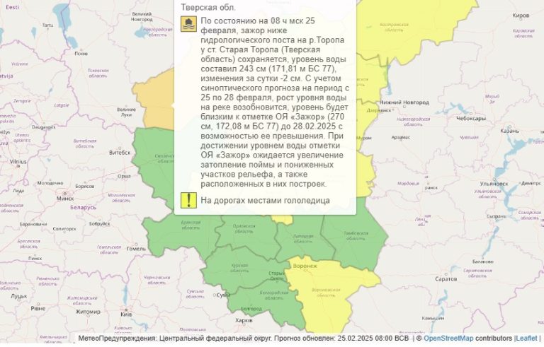 Гидрометцентр объявил погоду в Тверской области опасной из-за наводнения