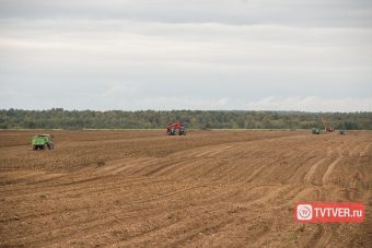 Сельхозтоваропроизводителям Тверской области выделят региональную поддержку в 2025 году