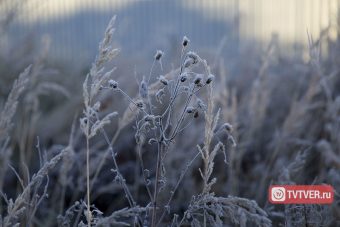 Многодетной семье в Тверской области выделили участок без коммуникаций