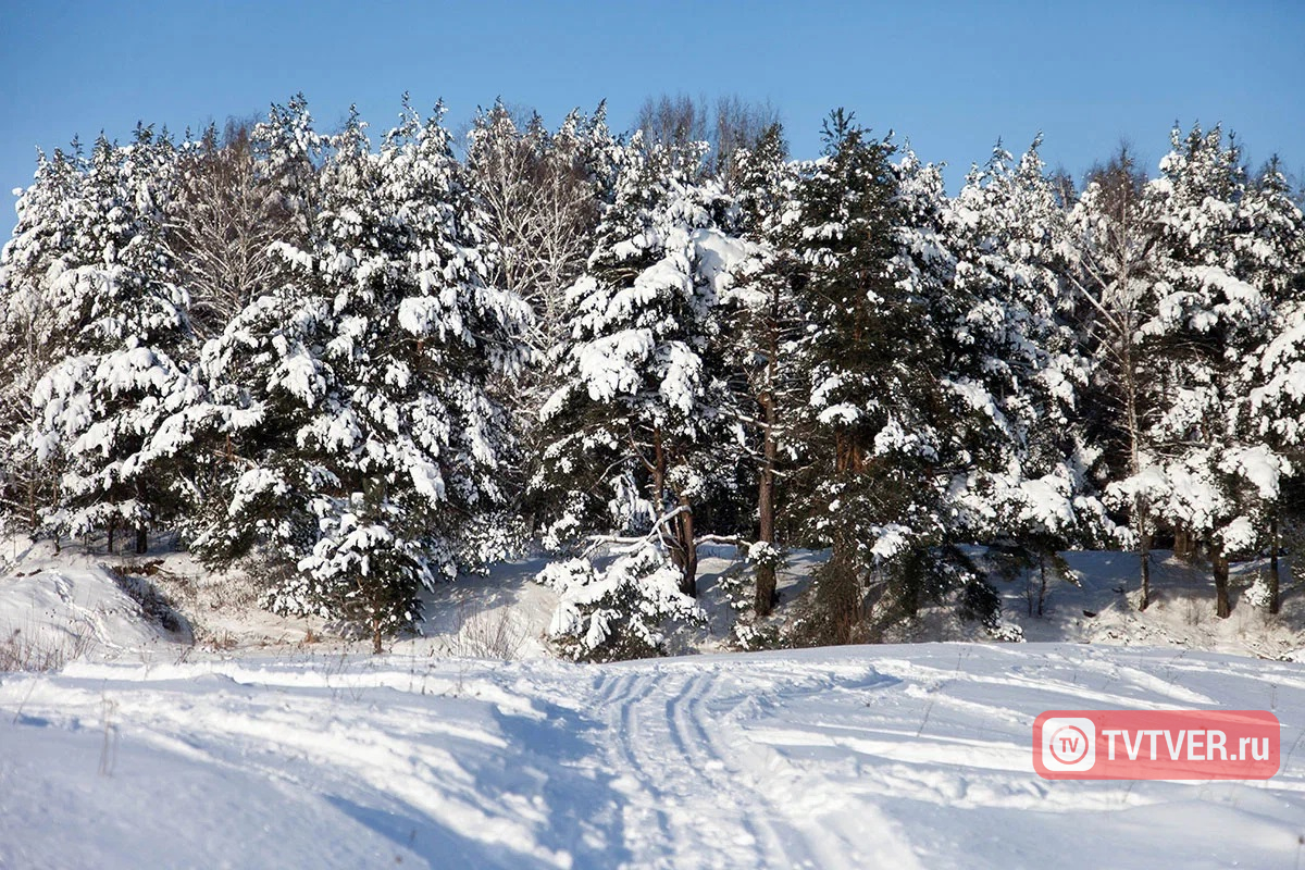 Названа дата прихода настоящей русской зимы в Тверскую область