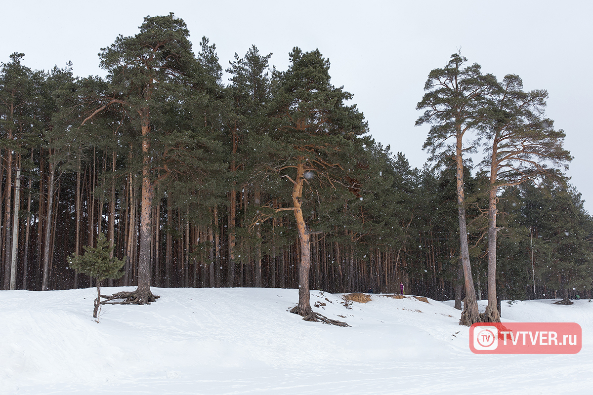 Стало известно, надолго ли в Тверскую область вернулась зима