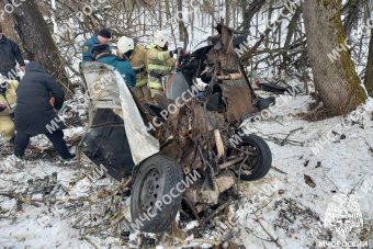 После встречи с деревом в Тверской области автомобиль разорвало в клочья