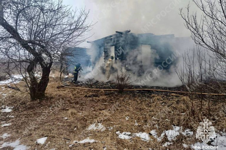 В Тверской области женщина чудом выжила во время страшного пожара