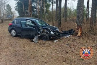 Погиб водитель легковушки, врезавшейся в дерево в Тверской области