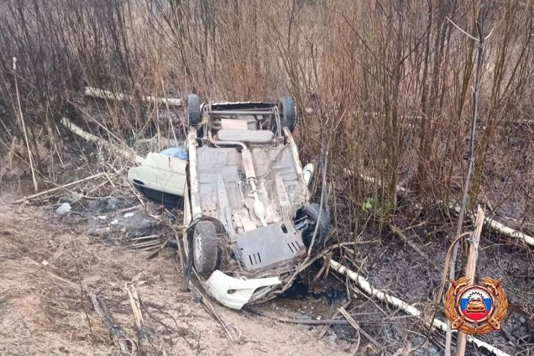 Двое детей пострадали в серьезном ДТП в Тверской области